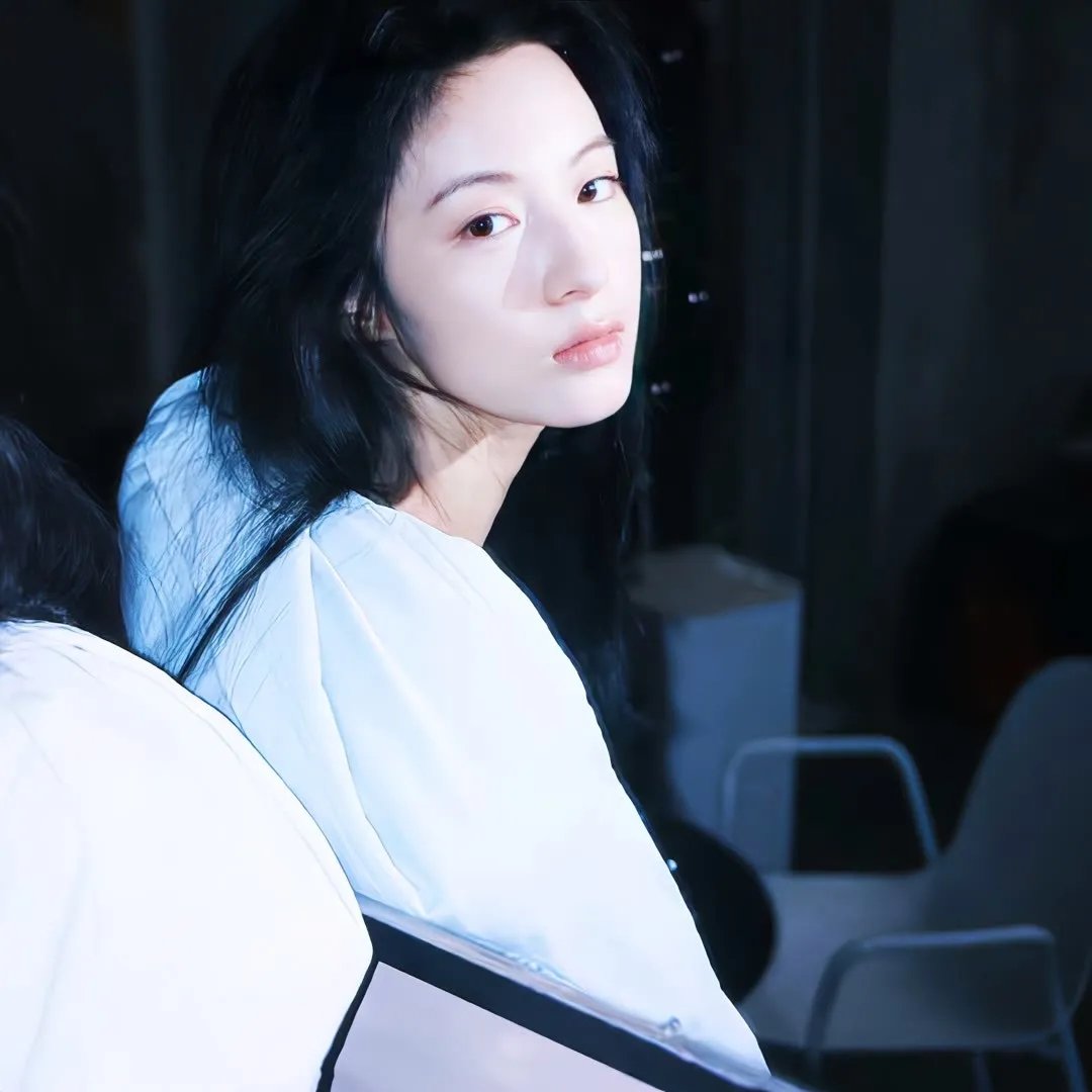 小野猫与斗牛犬