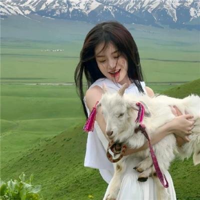 剑王朝之孤山剑藏